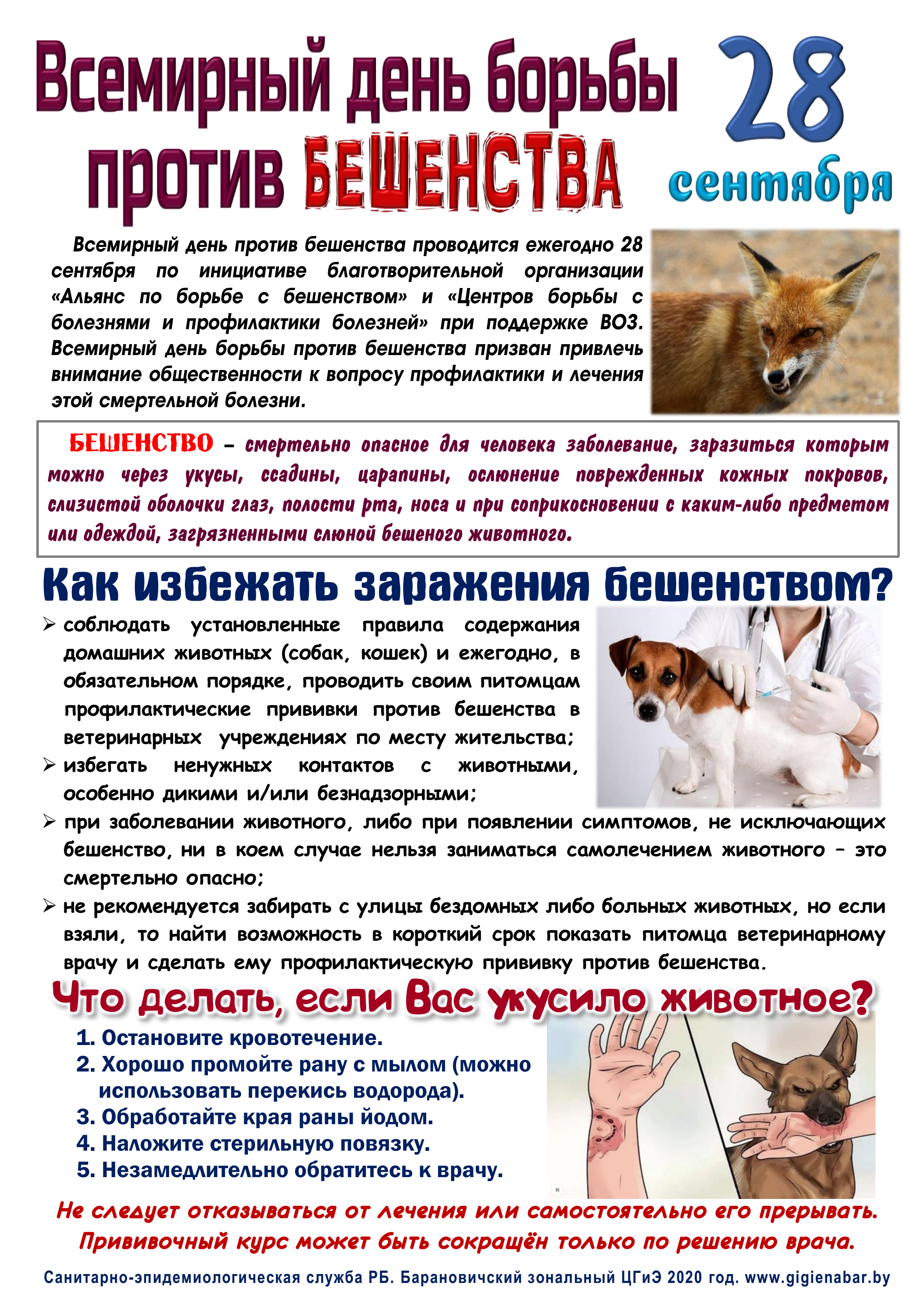 Всемирный день борьбы против бешенства
